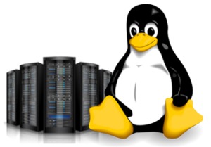 linux-hosting.png